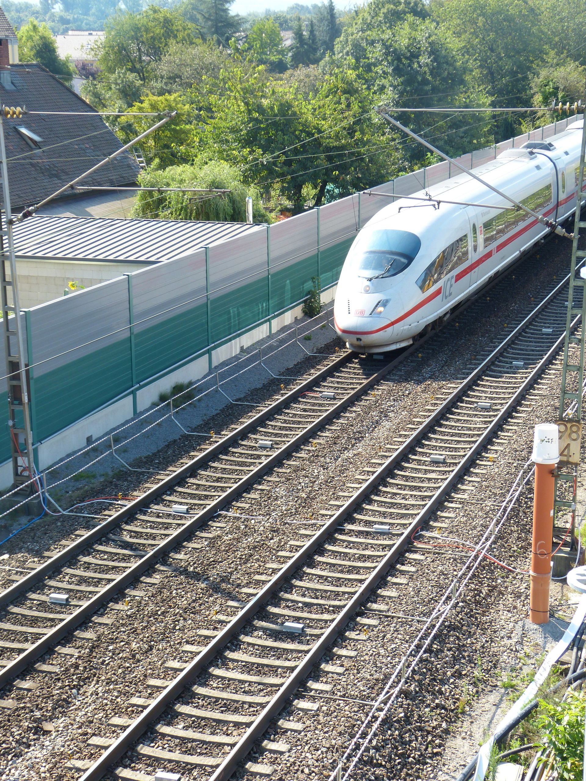 Ein Hochgeschwindigkeitszug nähert sich auf den Gleisen. Im Hintergrund sind eine grüne Lärmschutzwand und Bäume zu sehen.